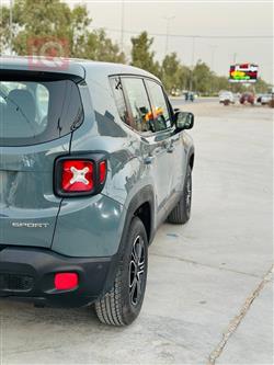 جيب رينيجيد